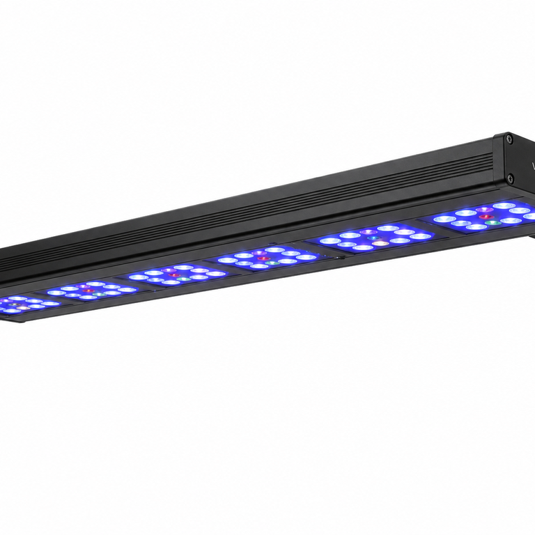 LED